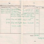 Wolf Hirth Flugbuch 2